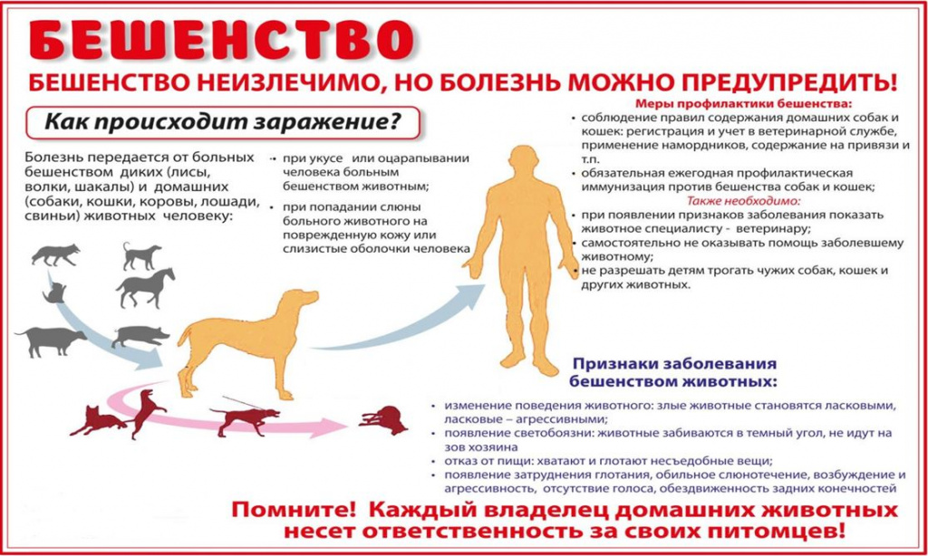 Территория Чукотского района объявлена угрожаемой зоной по бешенству