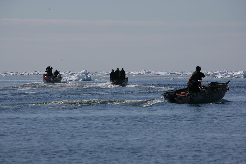 Морзверобоям согласован выход в море