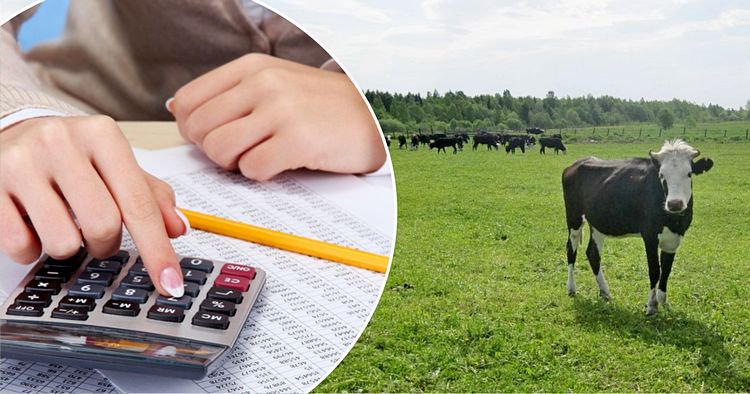 О личном подсобном хозяйстве и порядке налогообложения при ведении личного подсобного хозяйства