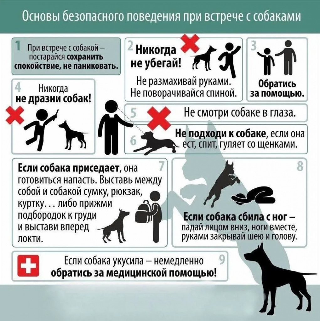 Уважаемые жители Чукотского района!